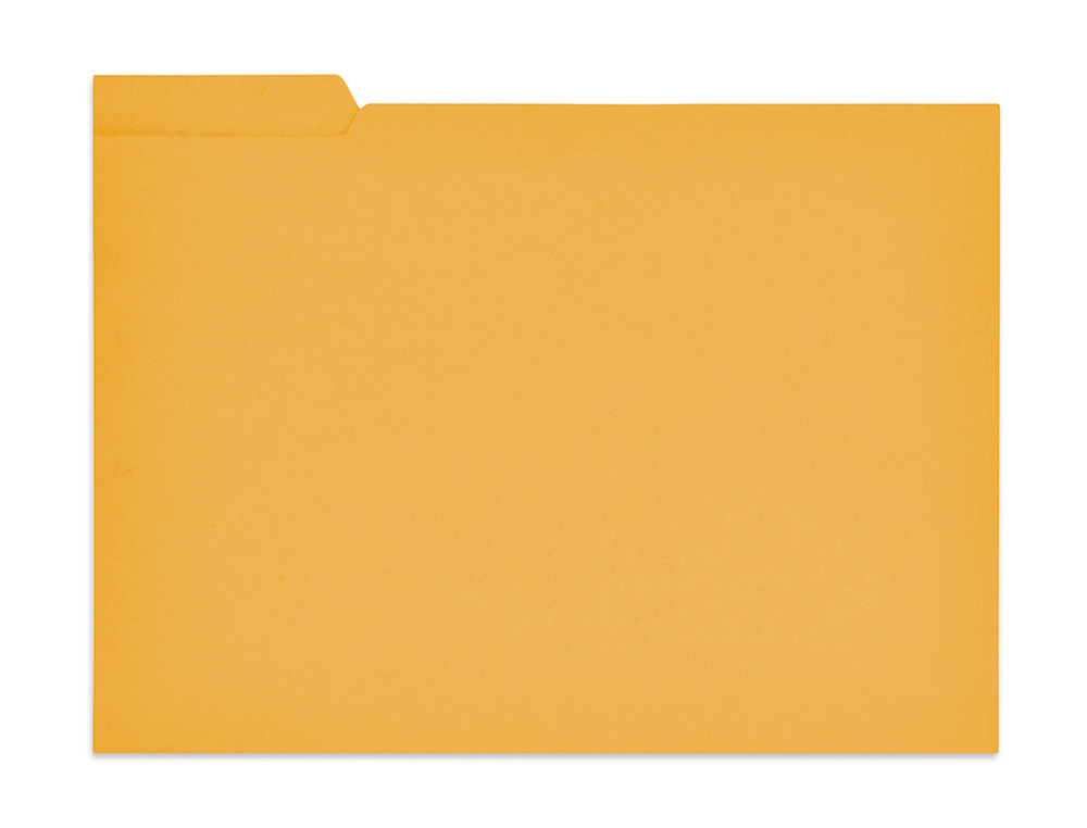 SUBCARPETA CARTULINA GIO FOLIO PESTAÑA IZQUIERDA 250 G/M2 AMARILLO